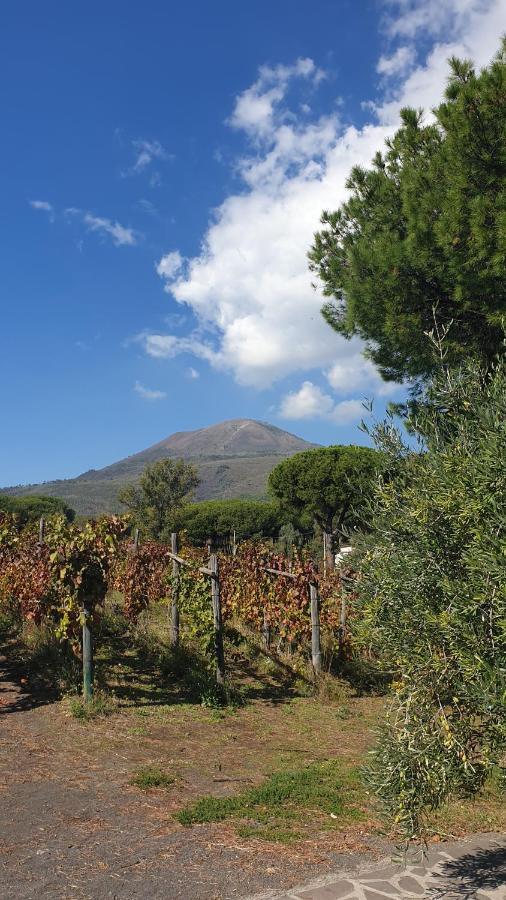 Beb Casale Pompei Rendine Villa Boscotrecase Exterior photo