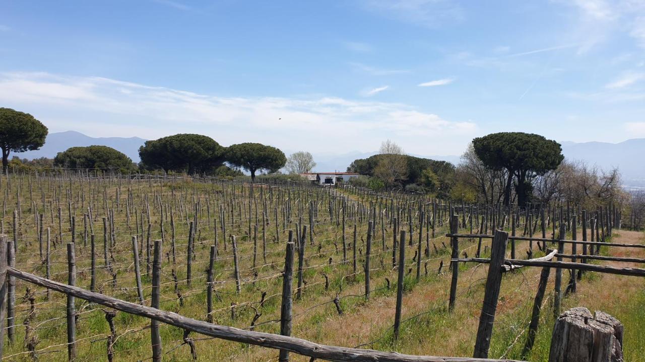 Beb Casale Pompei Rendine Villa Boscotrecase Exterior photo