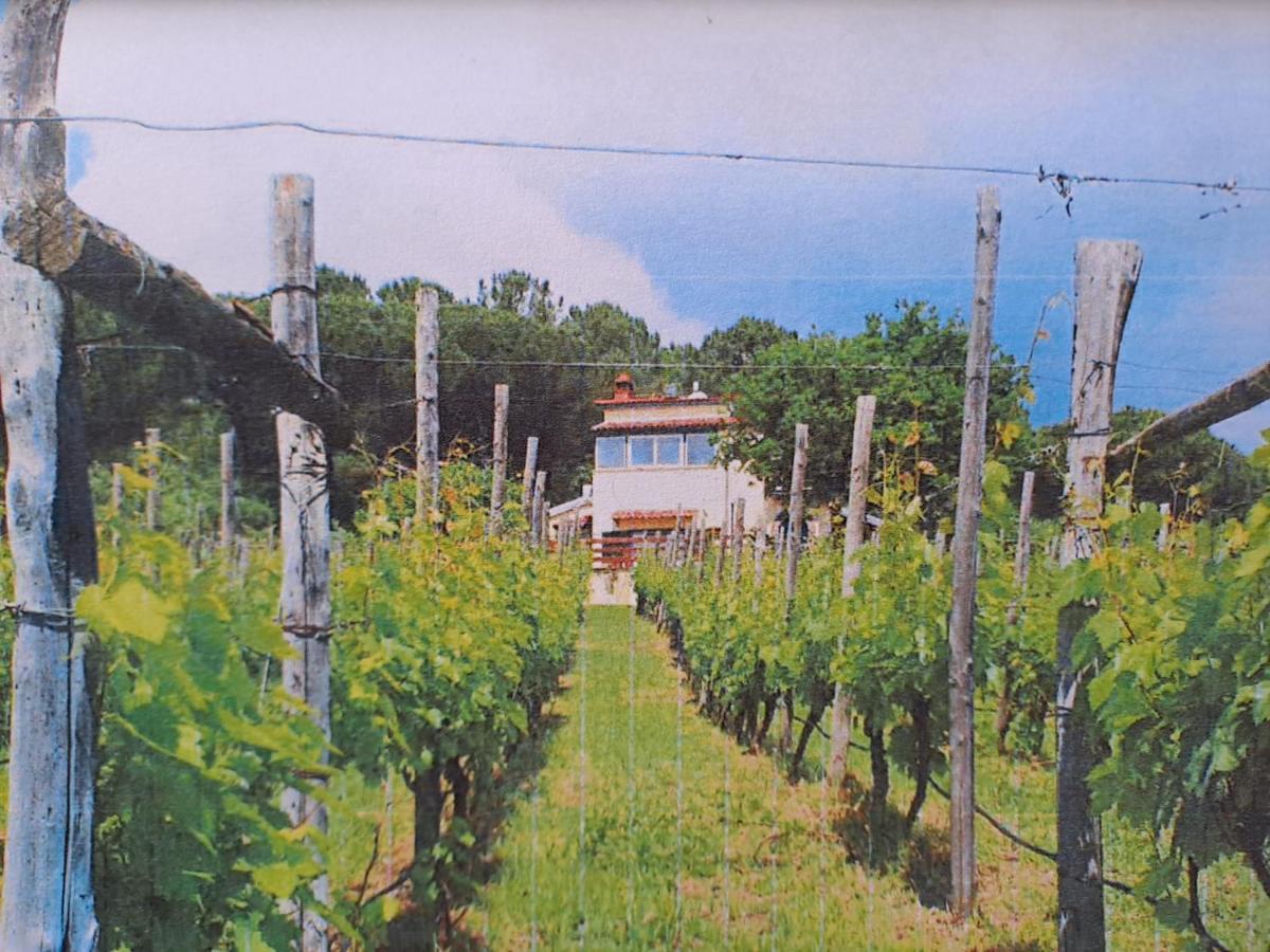 Beb Casale Pompei Rendine Villa Boscotrecase Exterior photo